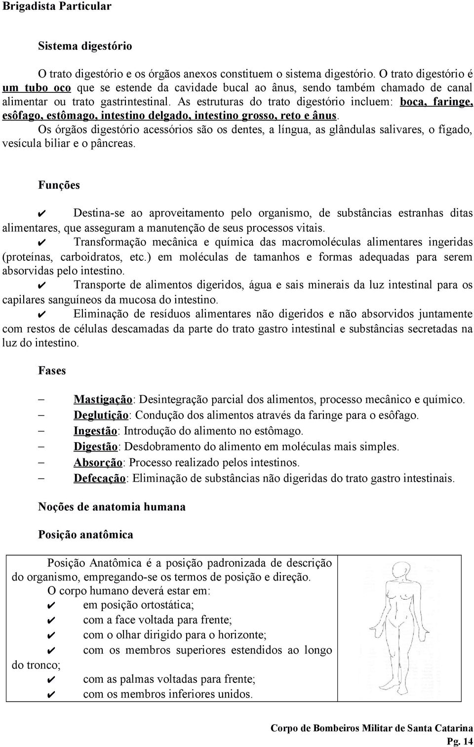 As estruturas do trato digestório incluem: boca, faringe, esôfago, estômago, intestino delgado, intestino grosso, reto e ânus.