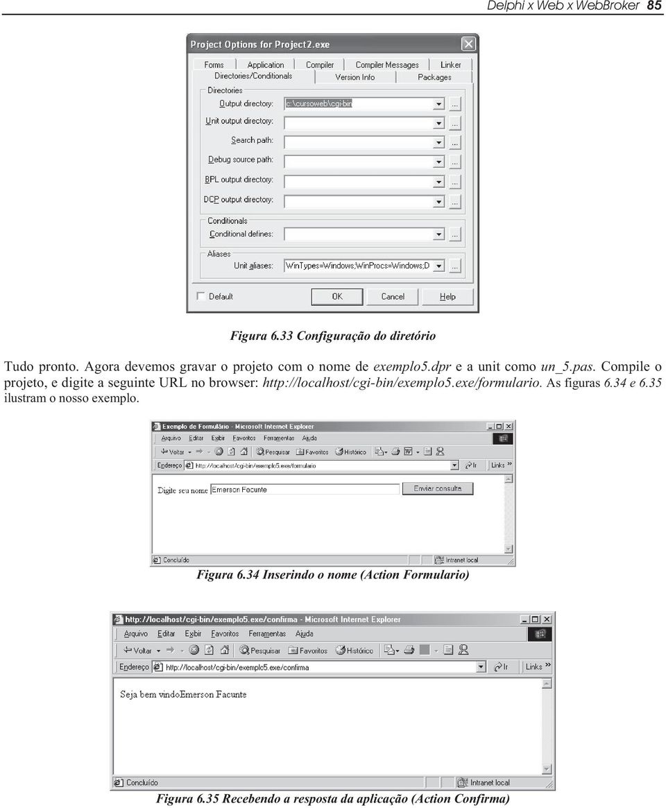 Compile o projeto, e digite a seguinte URL no browser: http://localhost/cgi-bin/exemplo5.exe/formulario.