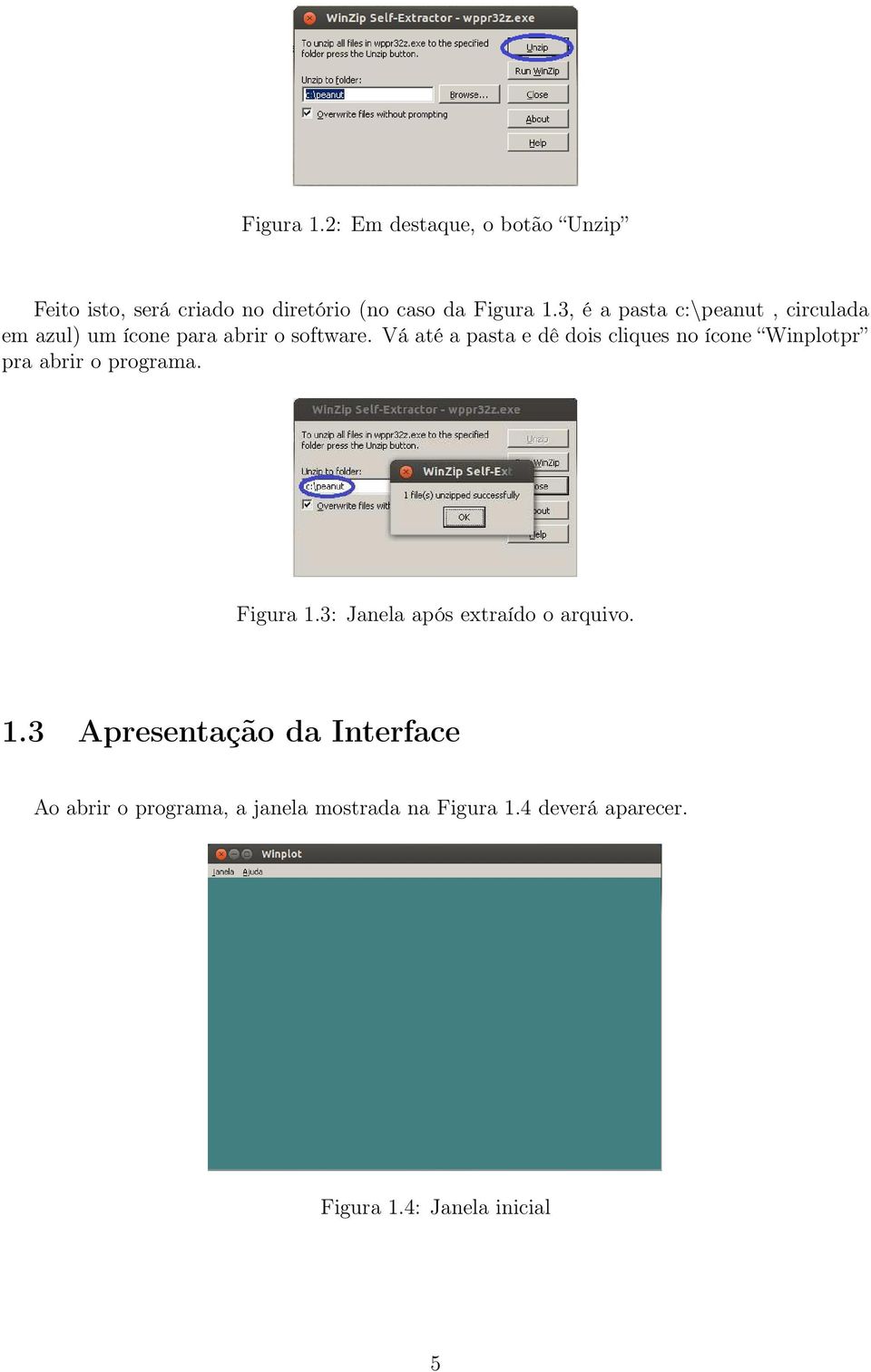 Vá até a pasta e dê dois cliques no ícone Winplotpr pra abrir o programa. Figura 1.