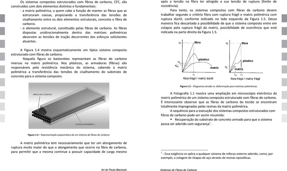 - o elemento estrutural, constituído pelas fibras de carbono.