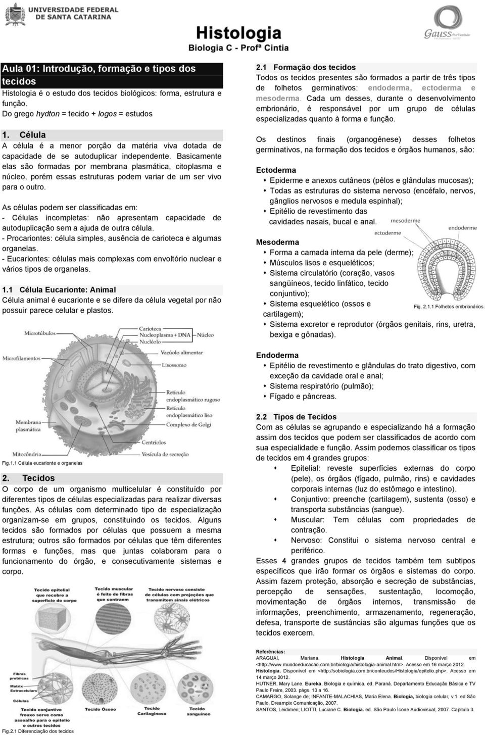 Basicamente elas são formadas por membrana plasmática, citoplasma e núcleo, porém essas estruturas podem variar de um ser vivo para o outro.