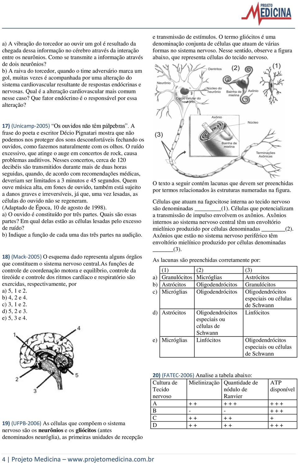 Qual é a alteração cardiovascular mais comum nesse caso? Que fator endócrino é o responsável por essa alteração? e transmissão de estímulos.