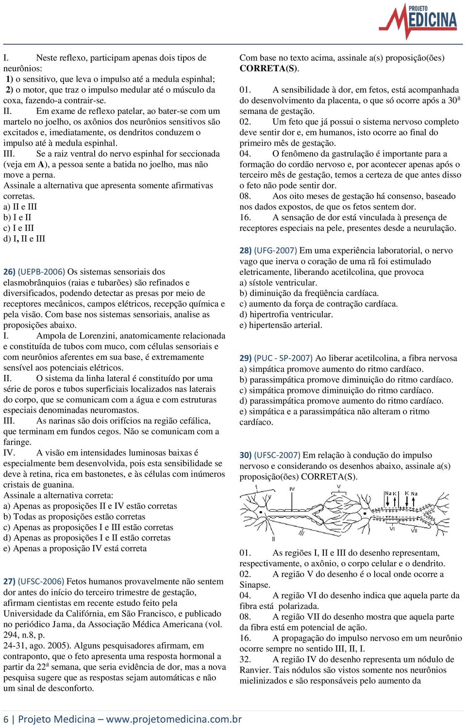 Em exame de reflexo patelar, ao bater-se com um martelo no joelho, os axônios dos neurônios sensitivos são excitados e, imediatamente, os dendritos conduzem o impulso até à medula espinhal. III.