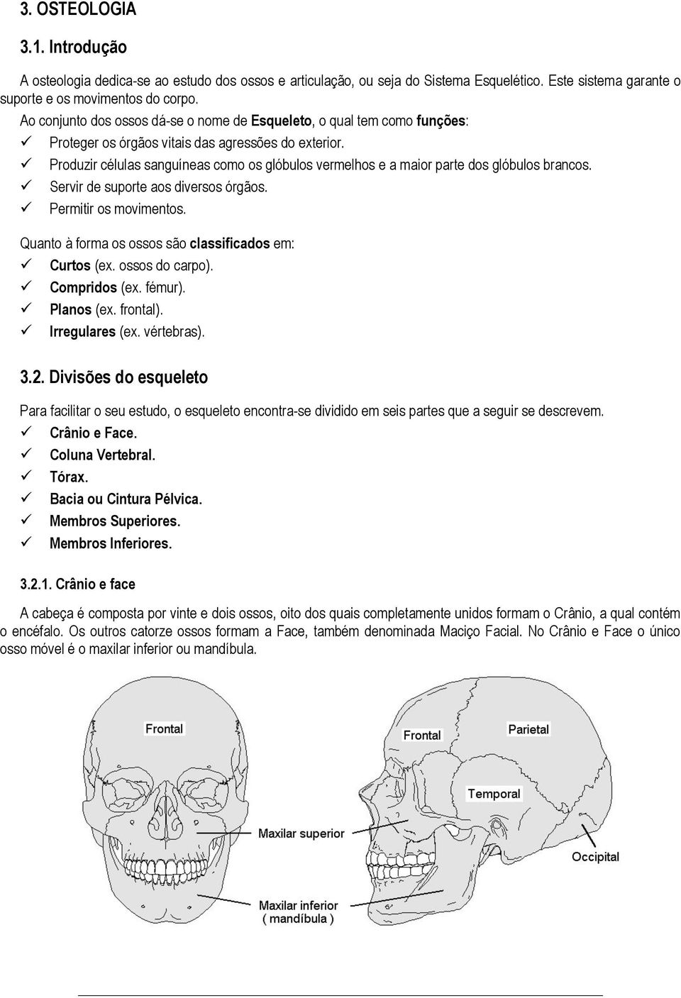 Produzir células sanguíneas como os glóbulos vermelhos e a maior parte dos glóbulos brancos. Servir de suporte aos diversos órgãos. Permitir os movimentos.