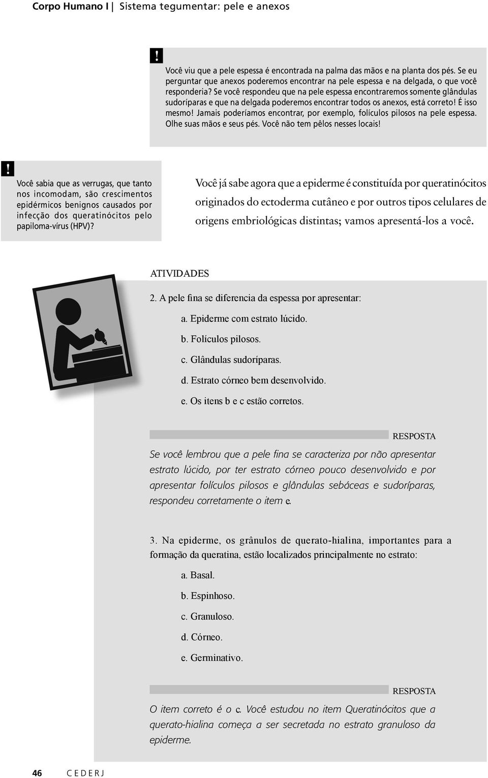 Se você respondeu que na pele espessa encontraremos somente glândulas sudoríparas e que na delgada poderemos encontrar todos os anexos, está correto! É isso mesmo!