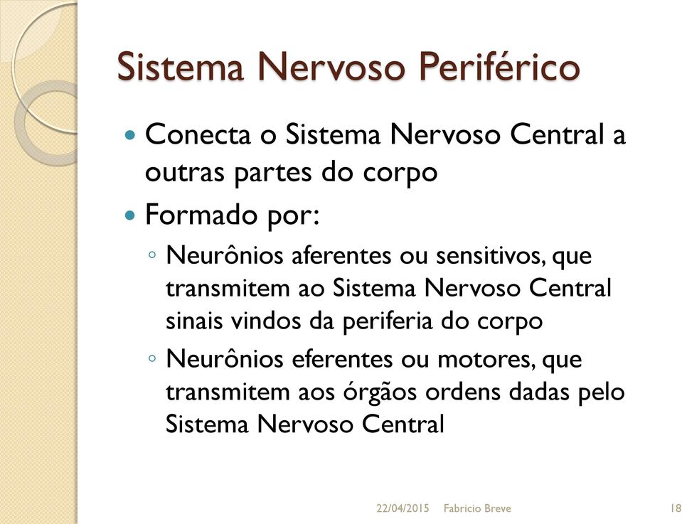 Nervoso Central sinais vindos da periferia do corpo Neurônios eferentes ou motores,