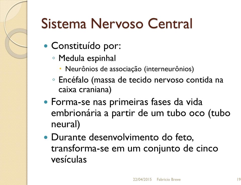 nas primeiras fases da vida embrionária a partir de um tubo oco (tubo neural) Durante