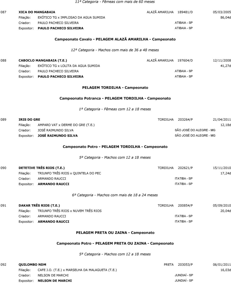 ) ALAZÃ AMARILHA 197604/D 12/11/2008 Filiação: EXÓTICO TG x LOLITA DA AGUA SUMIDA 41,27d PELAGEM TORDILHA - Campeonato Campeonato Potranca - PELAGEM TORDILHA - Campeonato 1ª Categoria - Fêmeas com 12