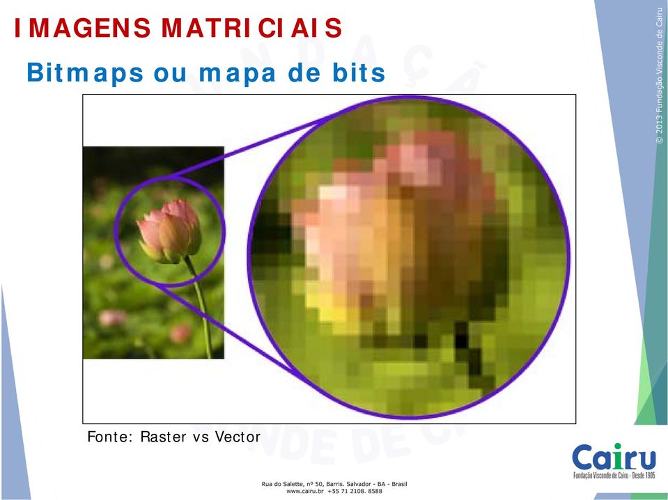 Bitmaps ou mapa