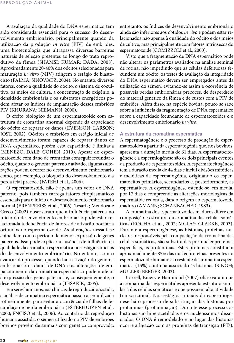 Aproximadamente 20-40% dos oócitos selecionados para maturação in vitro (MIV) atingem o estágio de blastocisto (PALMA; SINOWATZ, 2004).