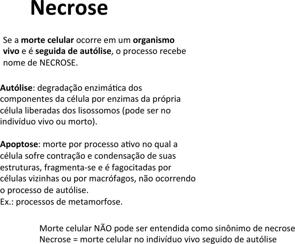 Apoptose: morte por processo a0vo no qual a célula sofre contração e condensação de suas estruturas, fragmenta- se e é fagocitadas por células vizinhas ou