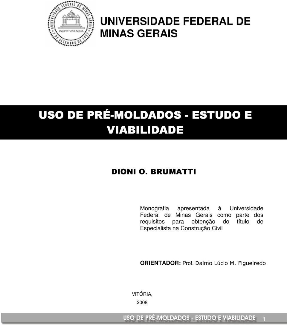 BRUMATTI Monografia apresentada à Universidade Federal de Minas Gerais como