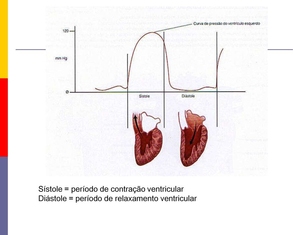 Diástole = período de