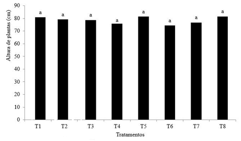 195 Quanto ao número de vagens por planta não foram observadas diferenças significativas entre os tratamentos (Figura 6).