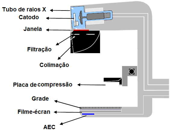 22 Figura 8: Braço rotatório em C onde estão todos os componentes de formação da imagem.