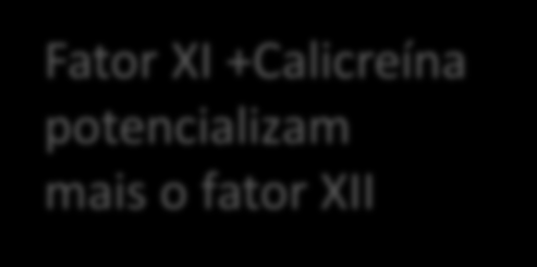 Via Intrínseca Lesão vascular Exposição colágeno superf.