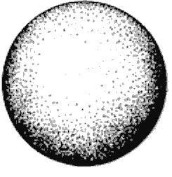 d) notocorda / eixo de sustentação. e) tubo neural /sistema nervoso. 23) (FATEC) A seguir temos duas afirmações, podendo a segunda ser uma razão para a primeira.