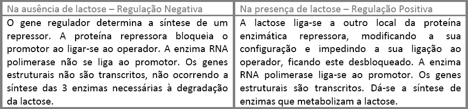 Sequências reguladoras muito curtas em procariontes e muito longas e complexas em eucariontes.