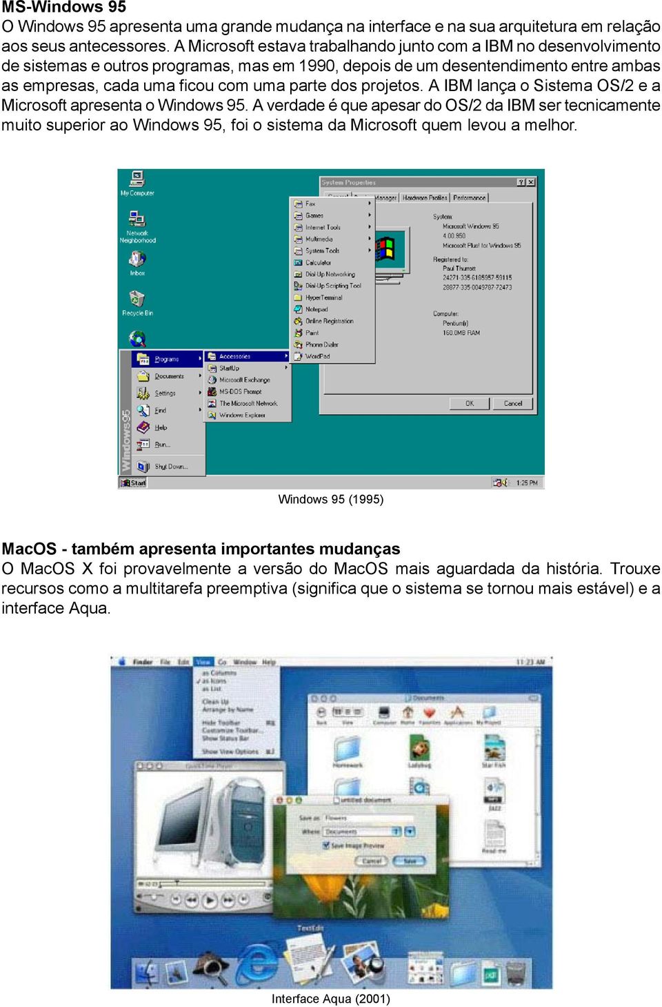 projetos. A IBM lança o Sistema OS/2 e a Microsoft apresenta o Windows 95.