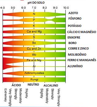 diminuição da sua actividade, pois mobiliza reacções que reduzem o nitrato a nitrito. Não dá para distinguir entre as 2 carências, pois ambas levam à mesma sintomatologia.