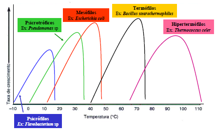 Psicrófilos e psicrotróficos (Pseudomonas, Alcaligenes, Flavobacterium, Micrococcus) multiplicam-se bem em alimentos refrigerados, principais agentes de deterioração de carnes, pescado, ovos, frangos.