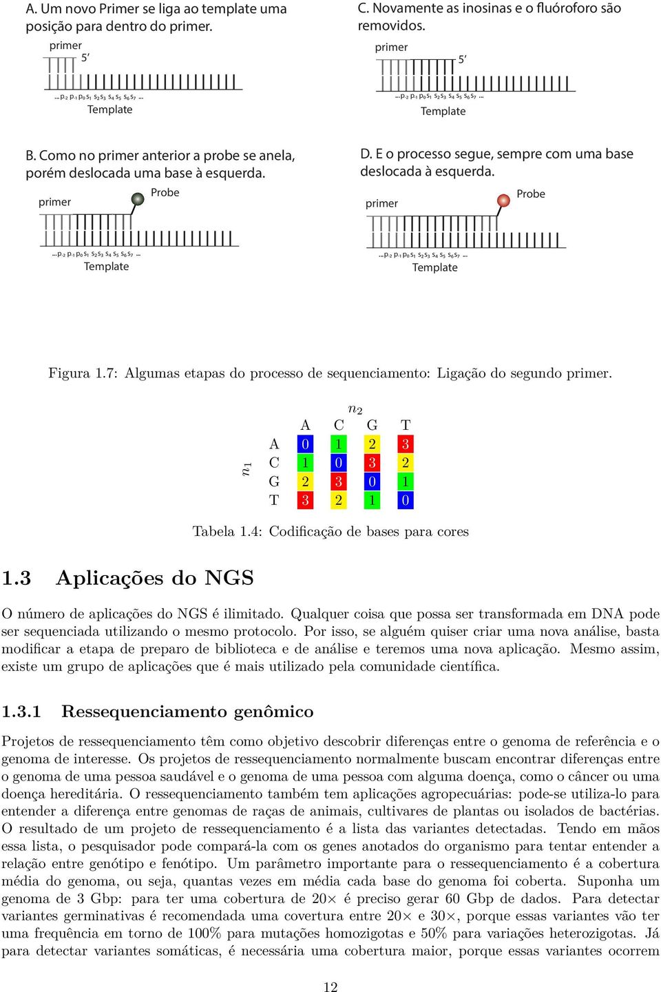 .. Template... p-2 p-1 p0 s1 s2s3 s4 s5 s6s7... Template Figura 1.7: Algumas etapas do processo de sequenciamento: Ligação do segundo primer.