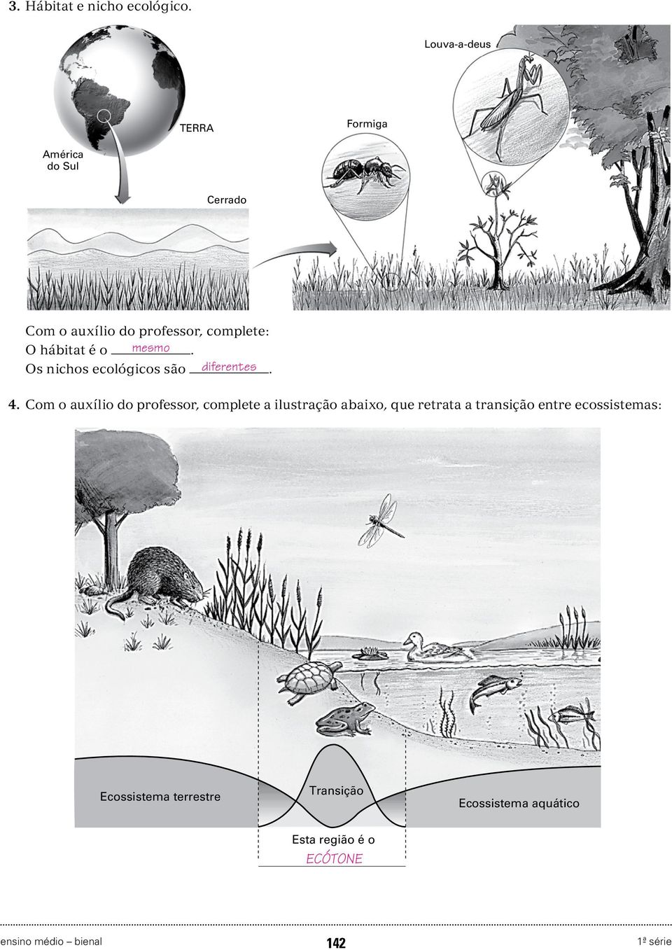 hábitat é o mesmo. Os nichos ecológicos são diferentes. 4.