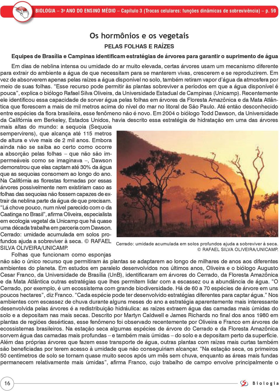 muito elevada, certas árvores usam um mecanismo diferente para extrair do ambiente a água de que necessitam para se manterem vivas, crescerem e se reproduzirem.