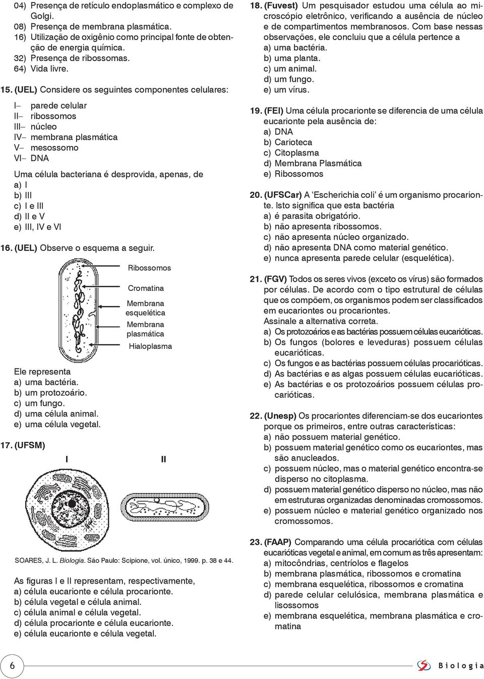 (UEL) Considere os seguintes componentes celulares: I parede celular II ribossomos III núcleo IV membrana plasmática V mesossomo VI DNA Uma célula bacteriana é desprovida, apenas, de a) I b) III c) I