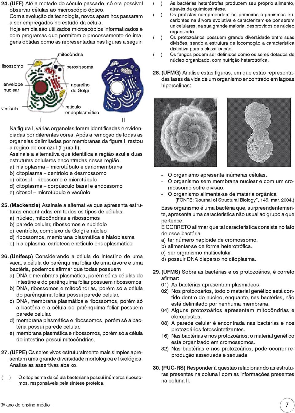 mitocôndria peroxissoma aparelho de Golgi ( ) As bactérias heterótrofas produzem seu próprio alimento, através da quimiossíntese.