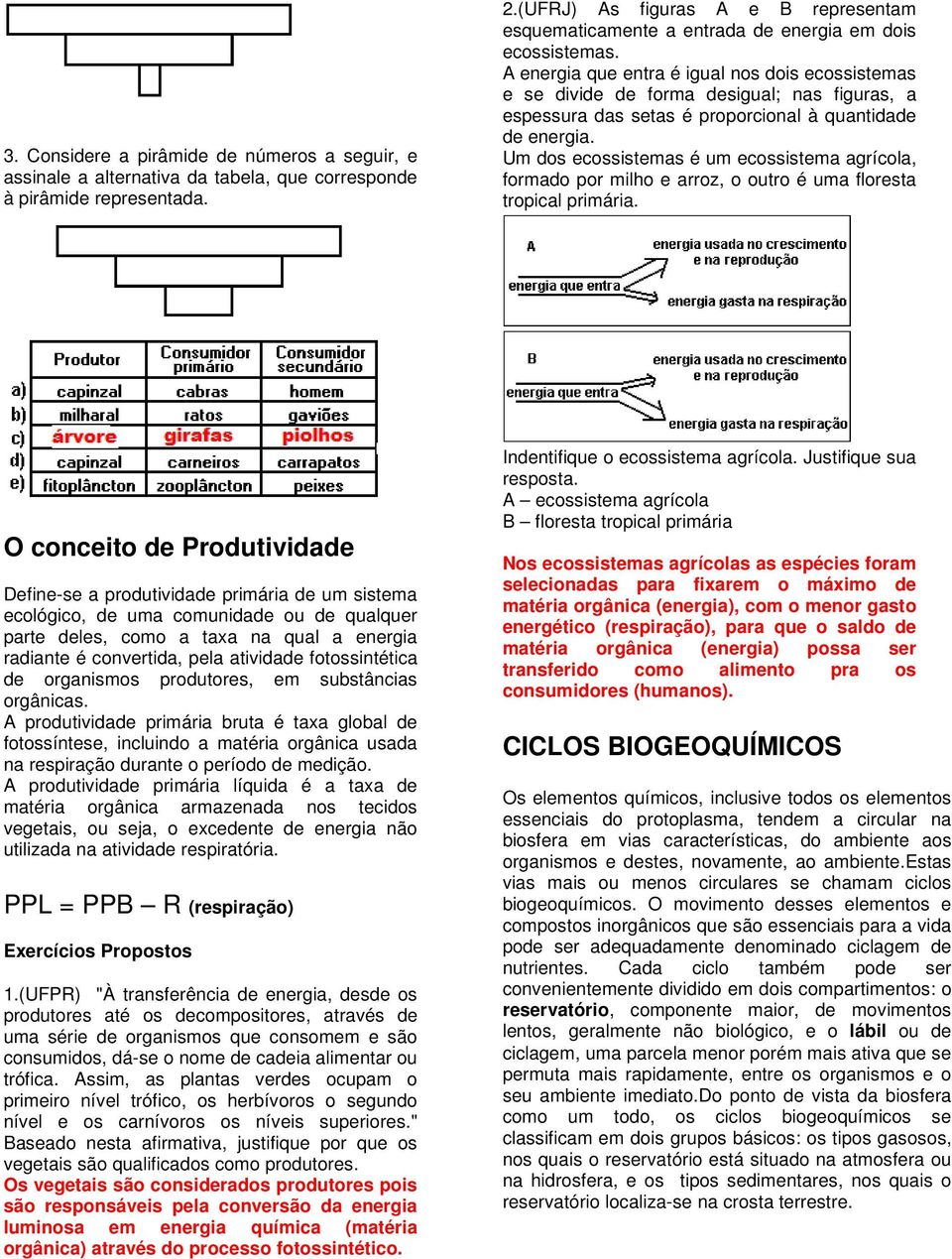 A energia que entra é igual nos dois ecossistemas e se divide de forma desigual; nas figuras, a espessura das setas é proporcional à quantidade de energia.