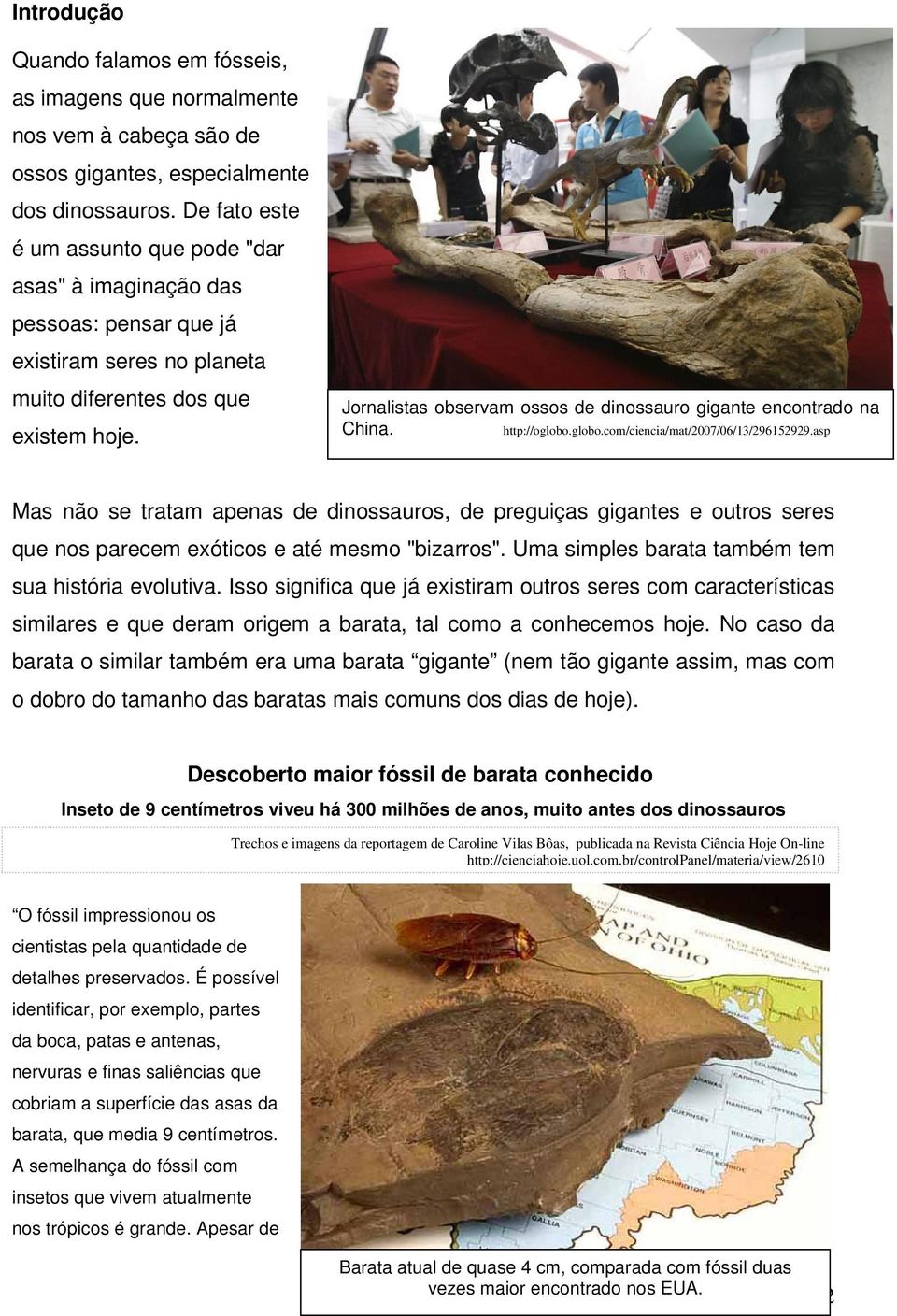 Jornalistas observam ossos de dinossauro gigante encontrado na China. http://oglobo.globo.com/ciencia/mat/2007/06/13/296152929.
