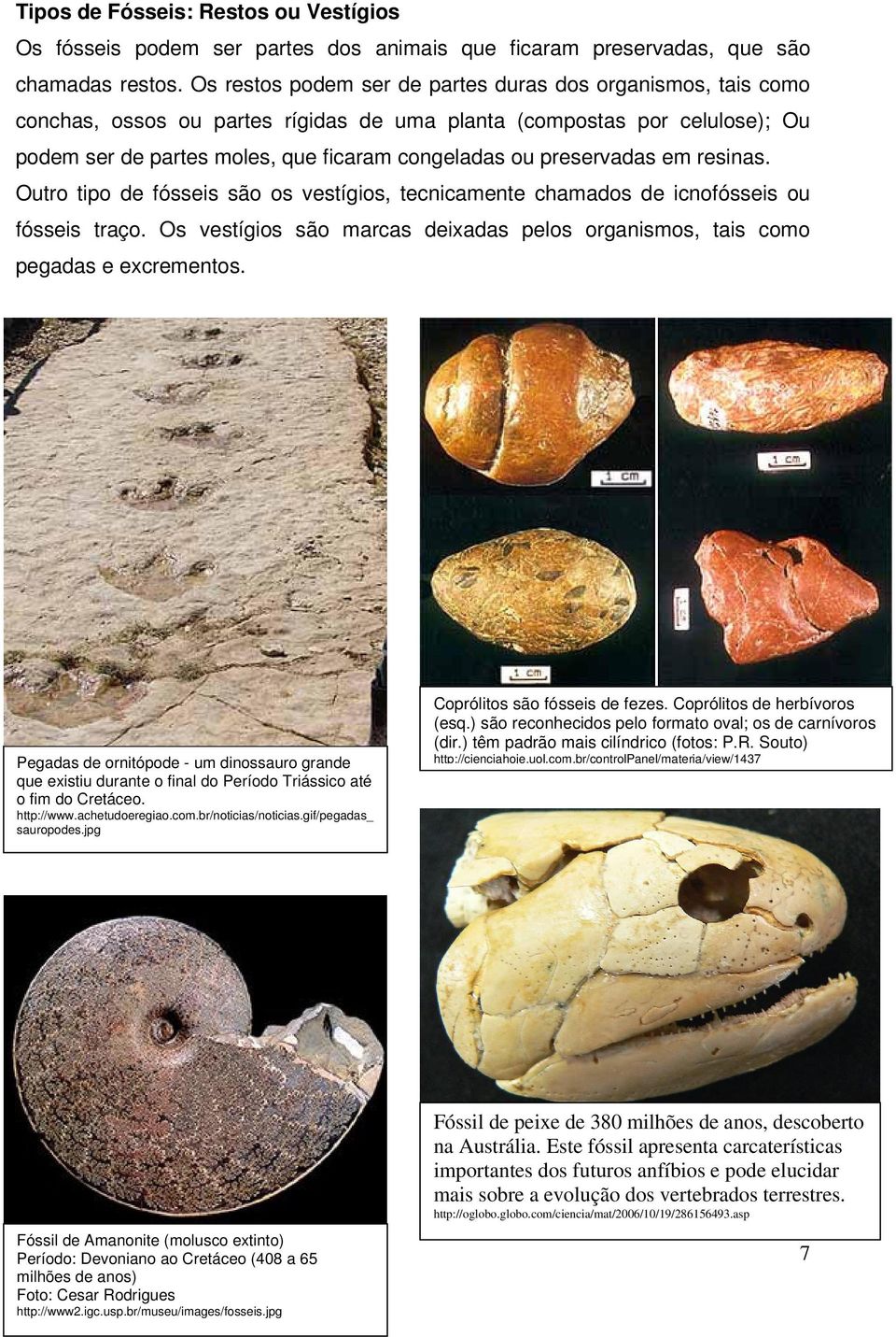 preservadas em resinas. Outro tipo de fósseis são os vestígios, tecnicamente chamados de icnofósseis ou fósseis traço.