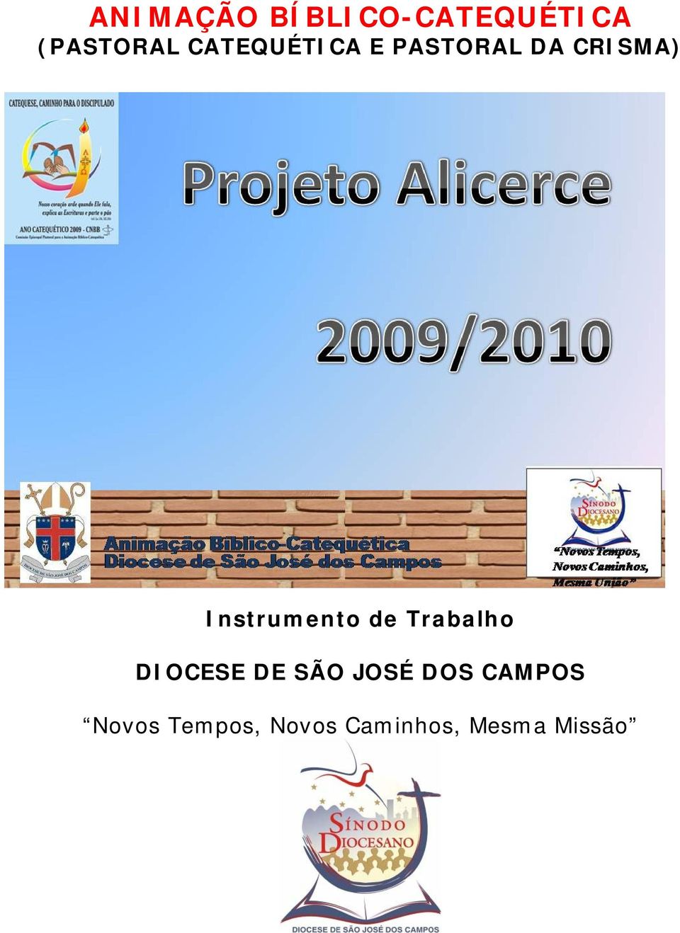 Instrumento de Trabalho DIOCESE DE SÃO