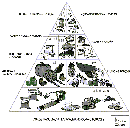 Passo 1 Passo 2 Passo 3 Passo 4 Passo 5 Passo 6 Passo 7 Passo 8 Passo 9 Passo 10 Tabela 3 Dez passos para uma alimentação saudável Dar somente leite materno até os 6 meses, sem oferecer água, chás ou