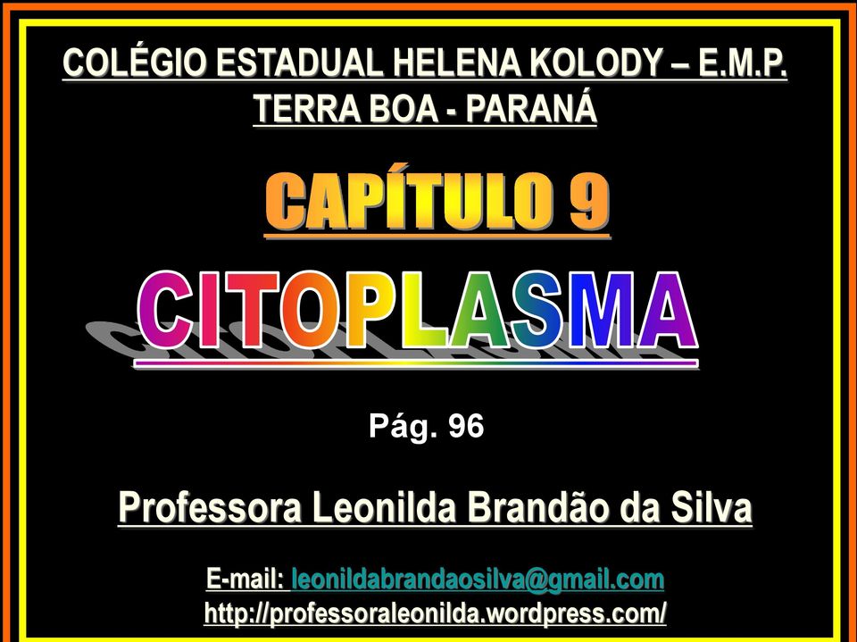 96 Professora Leonilda Brandão da Silva
