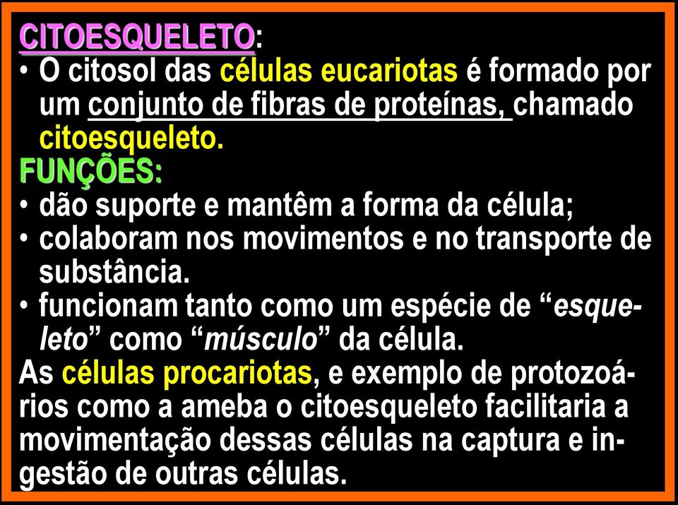 FUNÇÕES: dão suporte e mantêm a forma da célula; colaboram nos movimentos e no transporte de substância.