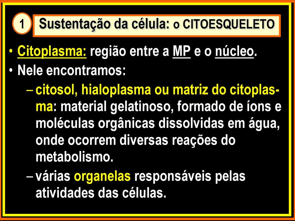 gelatinoso, formado de íons e moléculas orgânicas dissolvidas em água, onde