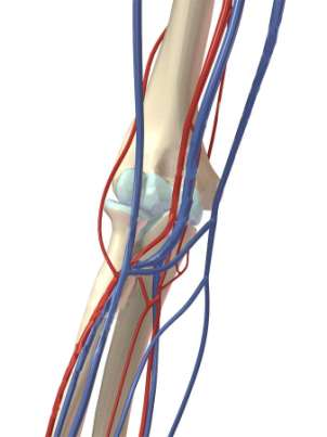 Contraste endovenoso (E.V) ou intravascular (I.