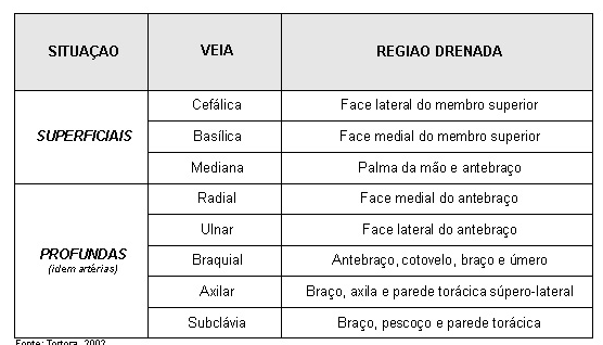 diretamente já corrente sanguínea.