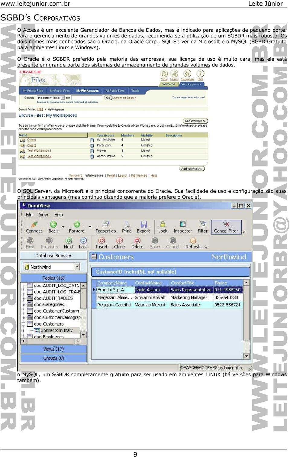 , SQL Server da Microsoft e o MySQL (SGBD Gratuito para ambientes Linux e Windows).