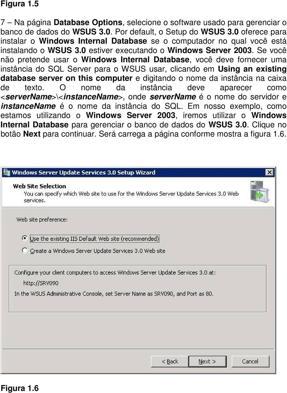 Se você não pretende usar o Windows Internal Database, você deve fornecer uma instância do SQL Server para o WSUS usar, clicando em Using an existing database server on this computer e digitando o
