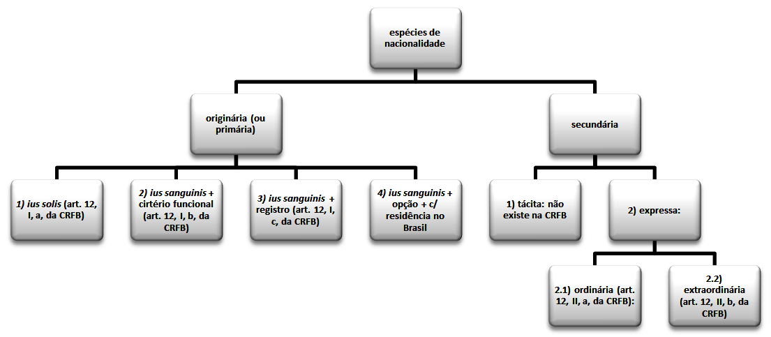 NACIONALIDADE Segundo Paulo e Alexandrino, nacionalidade é o vínculo jurídico-político de direito público interno que faz da pessoa um dos elementos componentes da dimensão do Estado (p. 246: 2010).