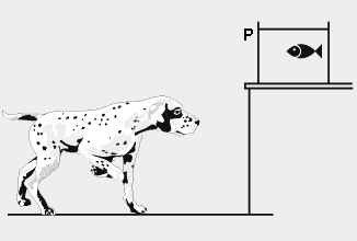 envolvido no processo é a: a) difração. b) reflexão. c) absorção. d) interferência. e) refração.