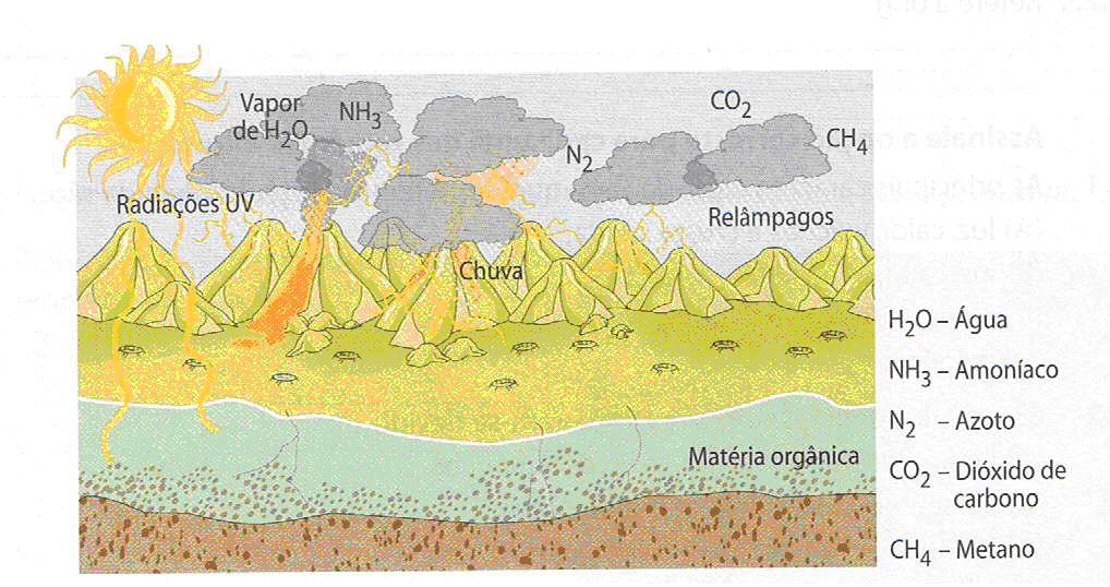 5.6. Biodiversidade é um conceito que significa a) a grande variedade de mares e oceanos. b) Pequena variedade e diversidade de seres vivos. c) Grande quantidade e variabilidade de seres vivos.