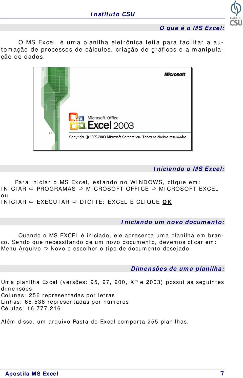 documento: Quando o MS EXCEL é iniciado, ele apresenta uma planilha em branco.