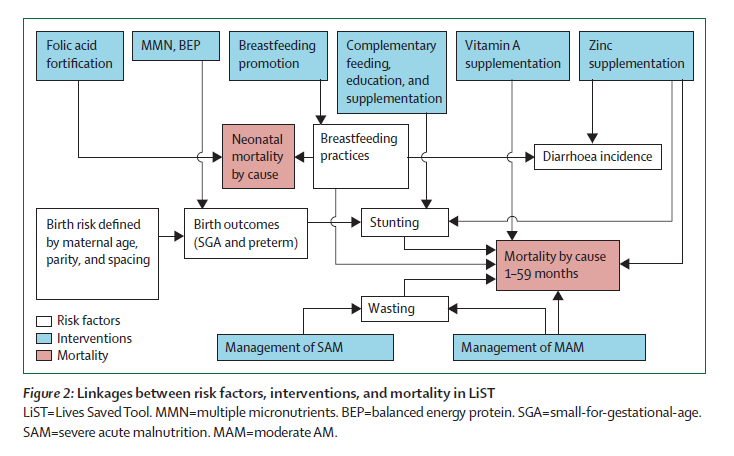 Intervenção nutricional nos mil dias com impacto nos fatores de risco relacionados à mortalidade infantil The Lancet