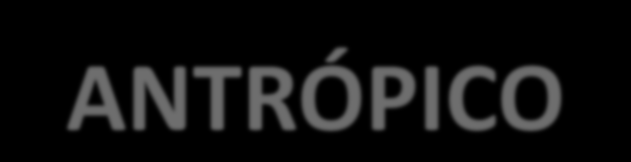 CARACTERÍSTICAS DO MEIO ANTRÓPICO Alta densidade demográfica Relação desproporcional entre ambiente construído e ambiente natural Alteração significativa da