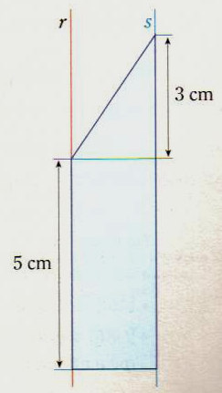 0. Na figura está representado um polígono constituído por um retângulo com de área e por triângulo retângulo. 0.. Determina a largura do polígono. 0 cm. Considera as funções f e g.