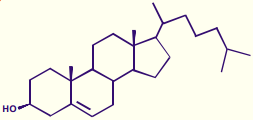 e) Apenas as afirmativas I e II são corretas 09 - Dê a fórmula molecular do hidrocarboneto com cadeia carbônica representada abaixo.